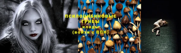крисы Осинники
