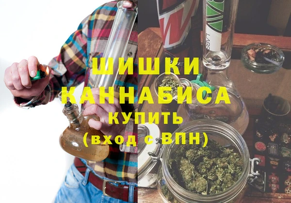 крисы Осинники