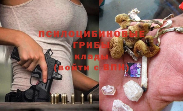 крисы Осинники