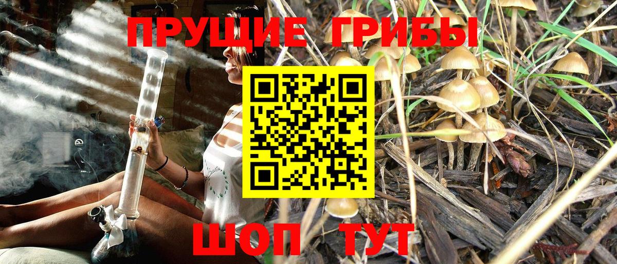 Галлюциногенные грибы GOLDEN TEACHER  Галлюциногенные грибы Magic Shrooms  Саянск  Вход с VPN 